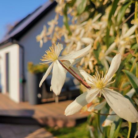 Hastings Casita, 'Little House' Self Contained Garden Lodge, Close To Town And Seafront Экстерьер фото