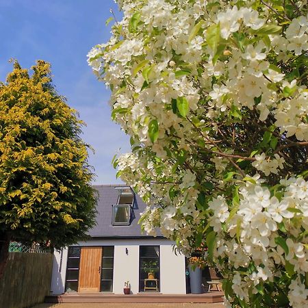 Hastings Casita, 'Little House' Self Contained Garden Lodge, Close To Town And Seafront Экстерьер фото