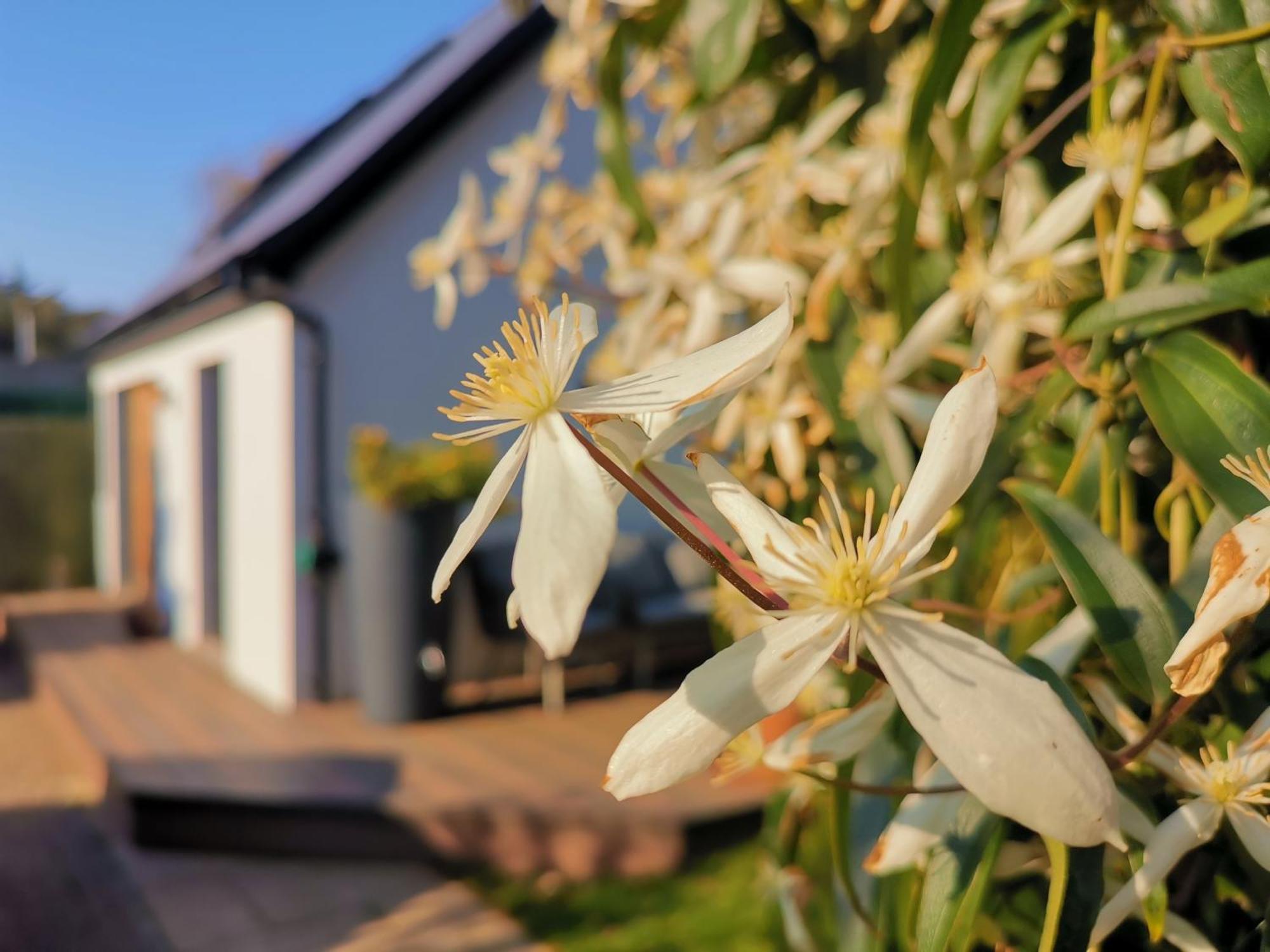 Hastings Casita, 'Little House' Self Contained Garden Lodge, Close To Town And Seafront Экстерьер фото
