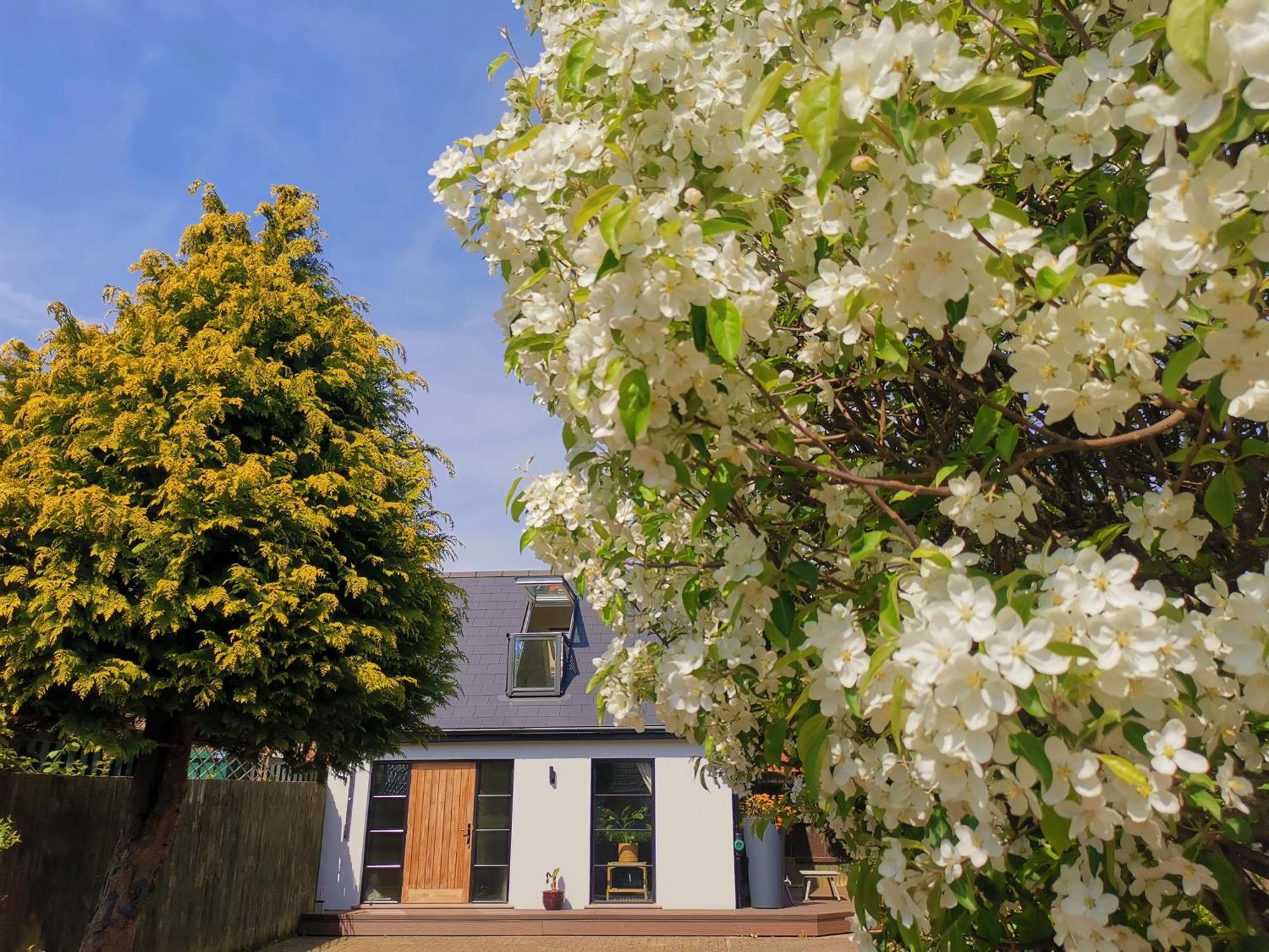 Hastings Casita, 'Little House' Self Contained Garden Lodge, Close To Town And Seafront Экстерьер фото